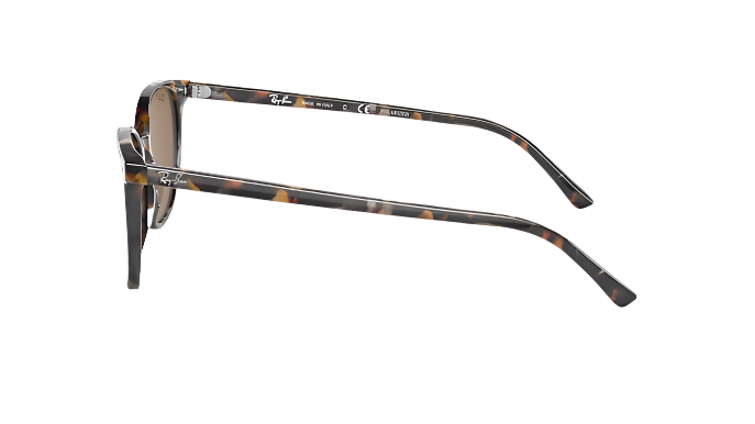 Ray-Ban Elliot RB2197-Sunglasses-Topline Eyewear