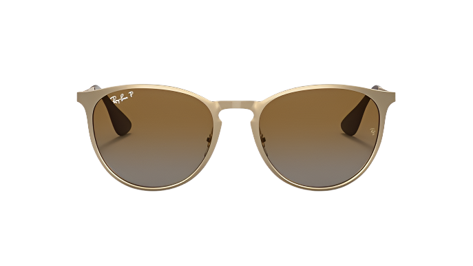 Ray-Ban Erika Metal RB3539-Sunglasses-Topline Eyewear