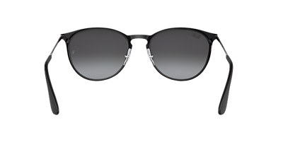 Ray-Ban Erika Metal RB3539-Sunglasses-Topline Eyewear