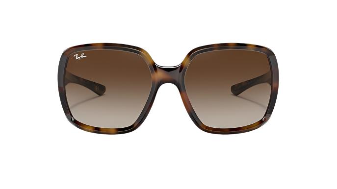 Ray-Ban Powderhorn RB4347-Sunglasses-