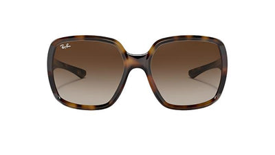 Ray-Ban Powderhorn RB4347-Sunglasses-