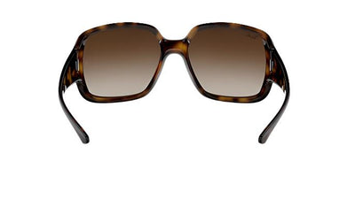 Ray-Ban Powderhorn RB4347-Sunglasses-