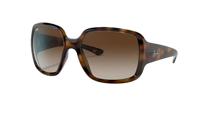 Ray-Ban Powderhorn RB4347-Sunglasses-Havana-Dark Brown Gradient-60