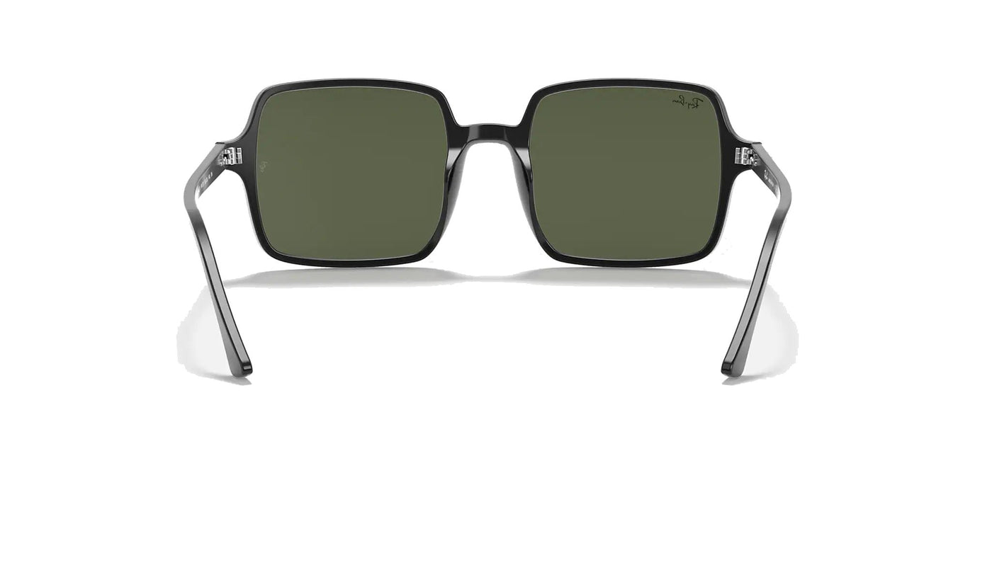 Ray-Ban RB1973-Sunglasses-Topline Eyewear