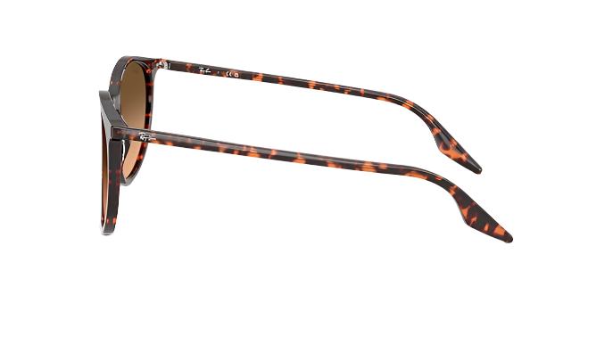 Ray-Ban RB2204-Sunglasses-