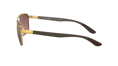 Ray-Ban RB3701-Sunglasses-Topline Eyewear