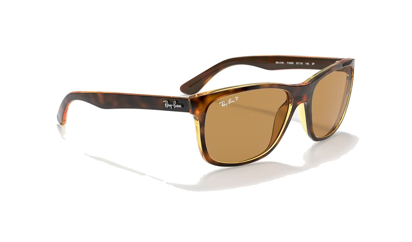 Ray-Ban RB4181-Sunglasses-Topline Eyewear