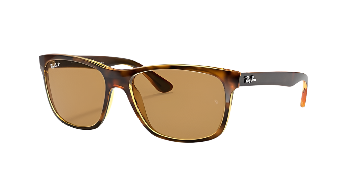 Ray-Ban RB4181-Sunglasses-Topline Eyewear