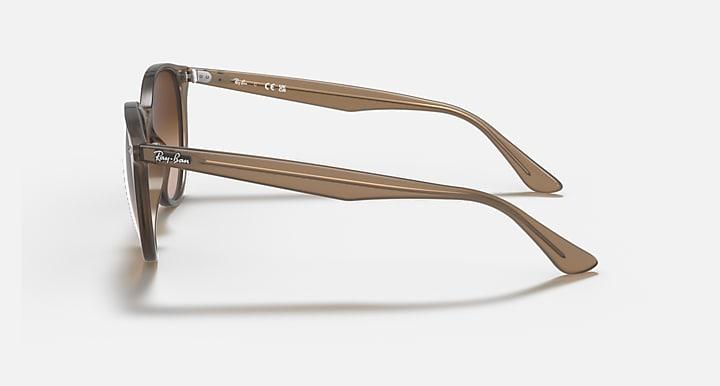 Ray-Ban RB4305-Sunglasses-