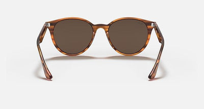 Ray-Ban RB4305-Sunglasses-