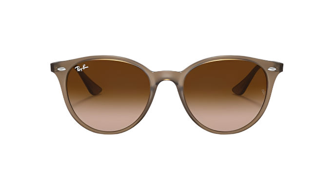 Ray-Ban RB4305-Sunglasses-Topline Eyewear