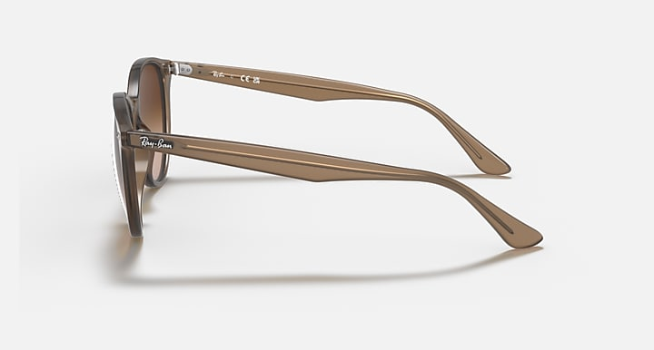 Ray-Ban RB4305-Sunglasses-Topline Eyewear