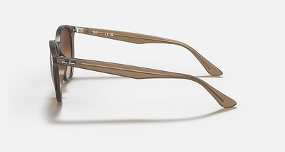 Ray-Ban RB4305-Sunglasses-Topline Eyewear