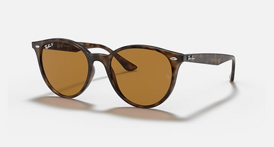 Ray-Ban RB4305-Sunglasses-Topline Eyewear