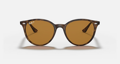 Ray-Ban RB4305-Sunglasses-Topline Eyewear