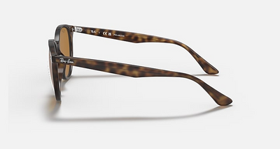 Ray-Ban RB4305-Sunglasses-Topline Eyewear