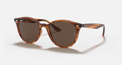 Ray-Ban RB4305-Sunglasses-Topline Eyewear