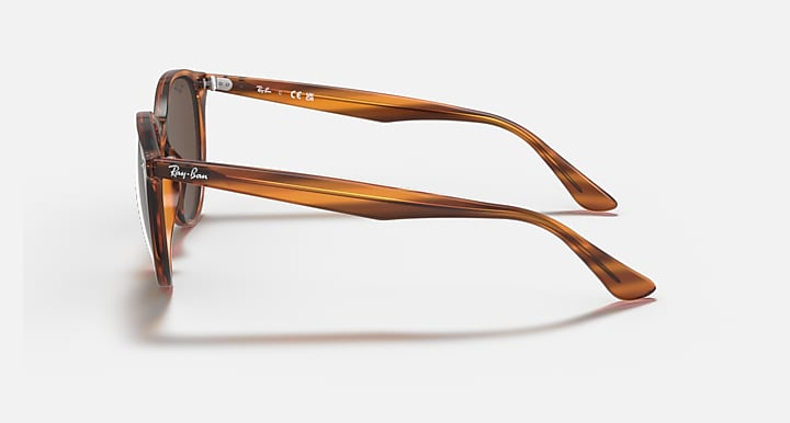 Ray-Ban RB4305-Sunglasses-Topline Eyewear
