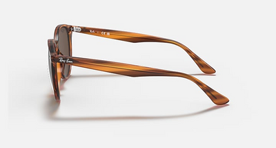 Ray-Ban RB4305-Sunglasses-Topline Eyewear