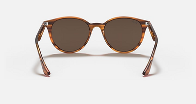 Ray-Ban RB4305-Sunglasses-Topline Eyewear