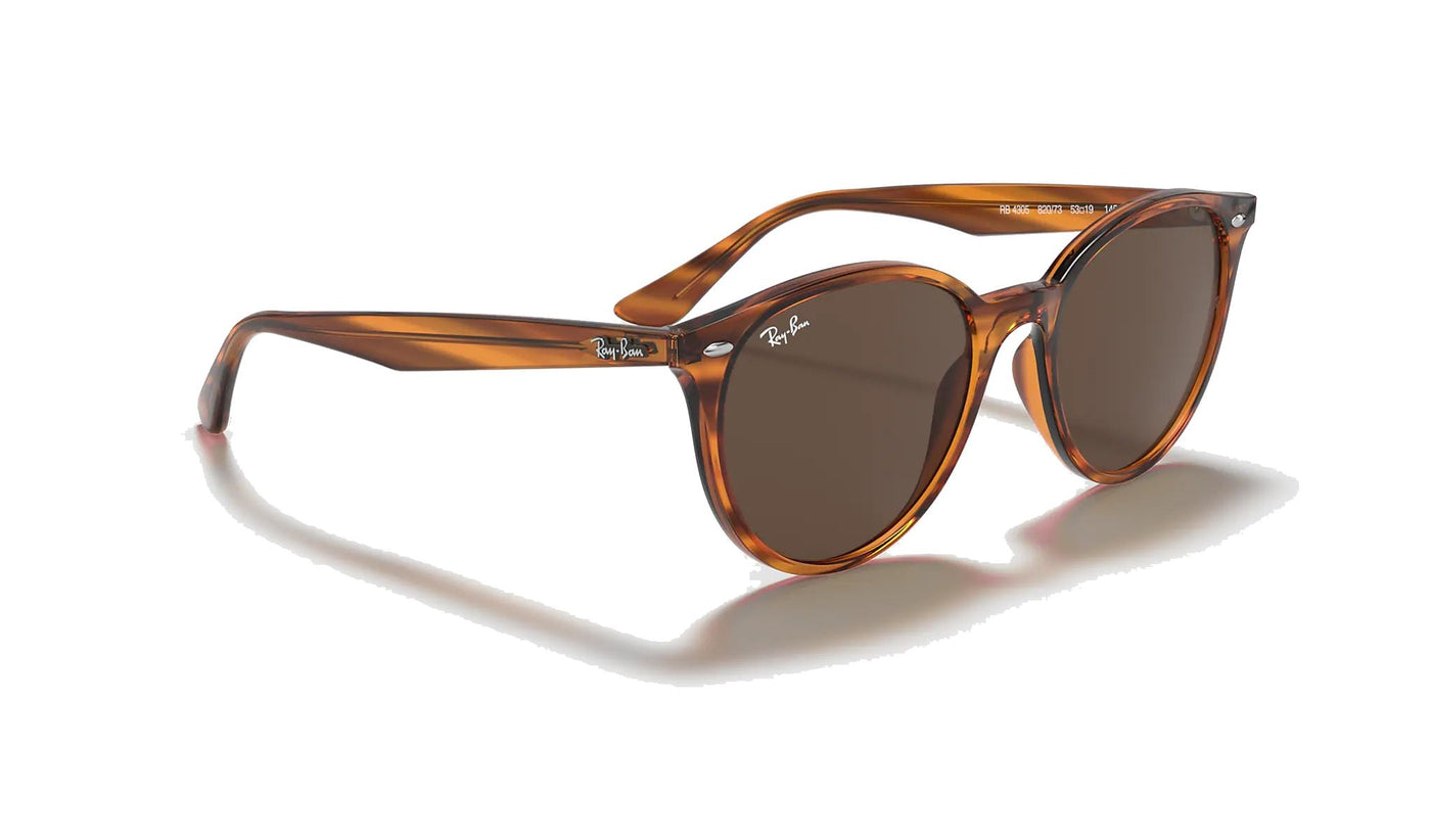 Ray-Ban RB4305-Sunglasses-Topline Eyewear