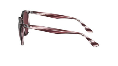 Ray-Ban RB4306-Sunglasses-