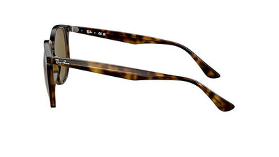 Ray-Ban RB4306-Sunglasses-