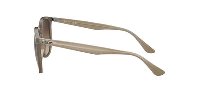 Ray-Ban RB4306-Sunglasses-