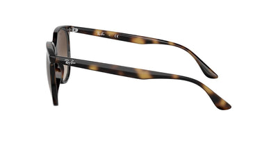 Ray-Ban RB4378-Sunglasses-