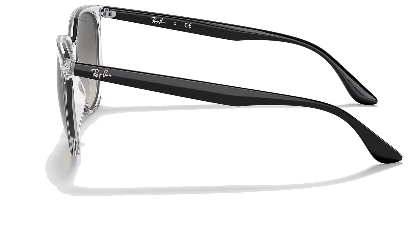 Ray-Ban RB4378-Sunglasses-Topline Eyewear
