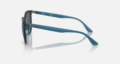 Ray-Ban RB4378-Sunglasses-Topline Eyewear