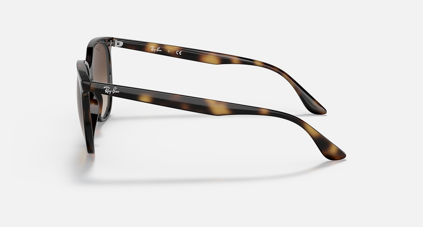 Ray-Ban RB4378-Sunglasses-Topline Eyewear