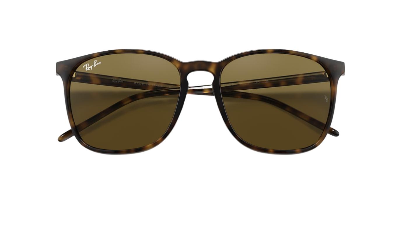 Ray-Ban RB4387-Sunglasses-Topline Eyewear