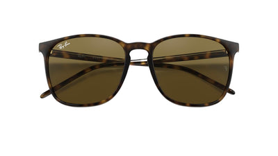 Ray-Ban RB4387-Sunglasses-Topline Eyewear