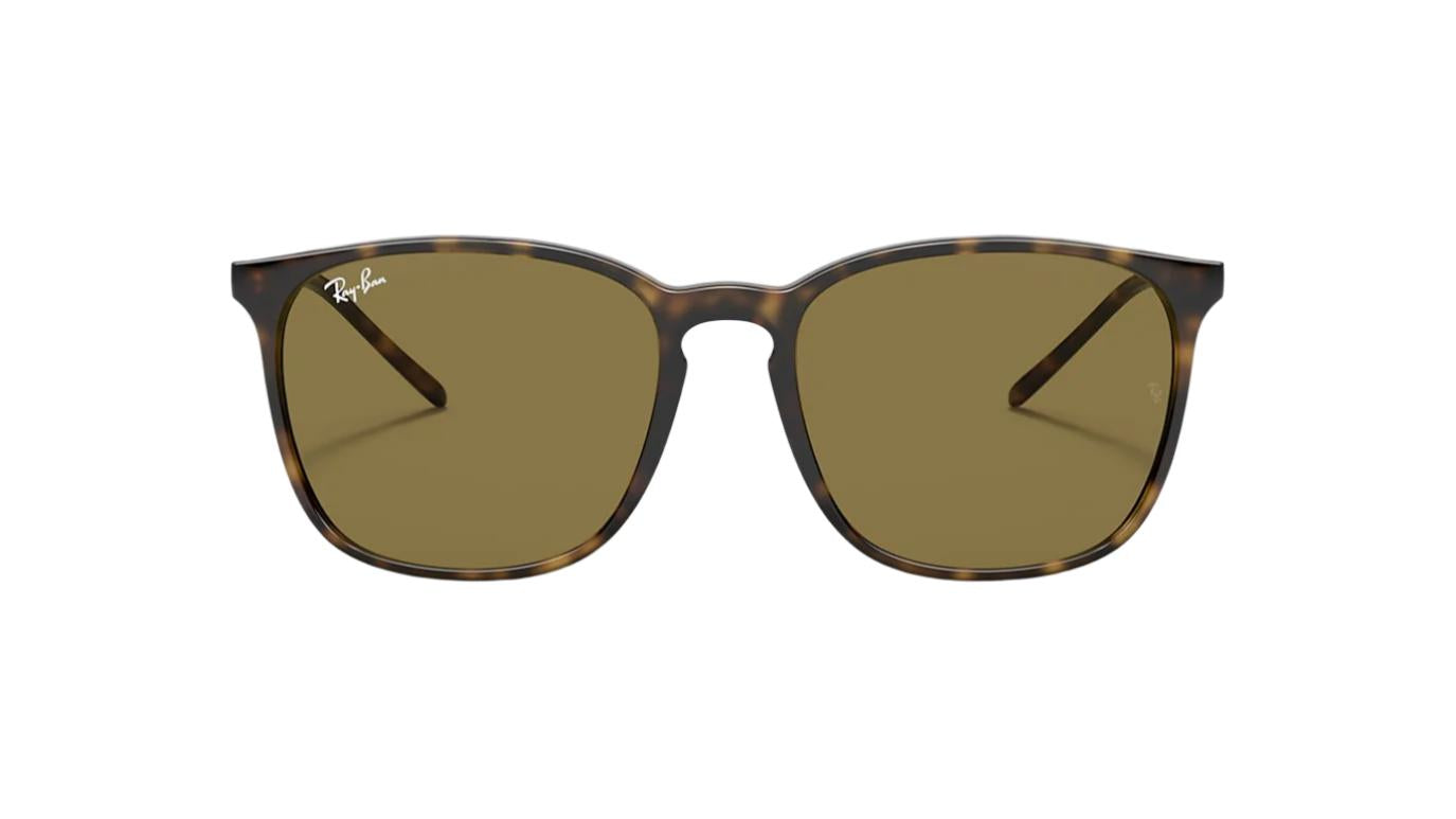 Ray-Ban RB4387-Sunglasses-Topline Eyewear