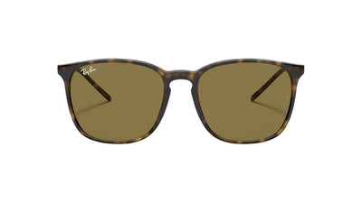 Ray-Ban RB4387-Sunglasses-Topline Eyewear
