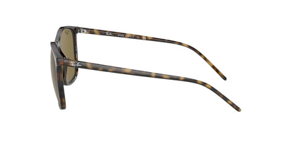 Ray-Ban RB4387-Sunglasses-Topline Eyewear