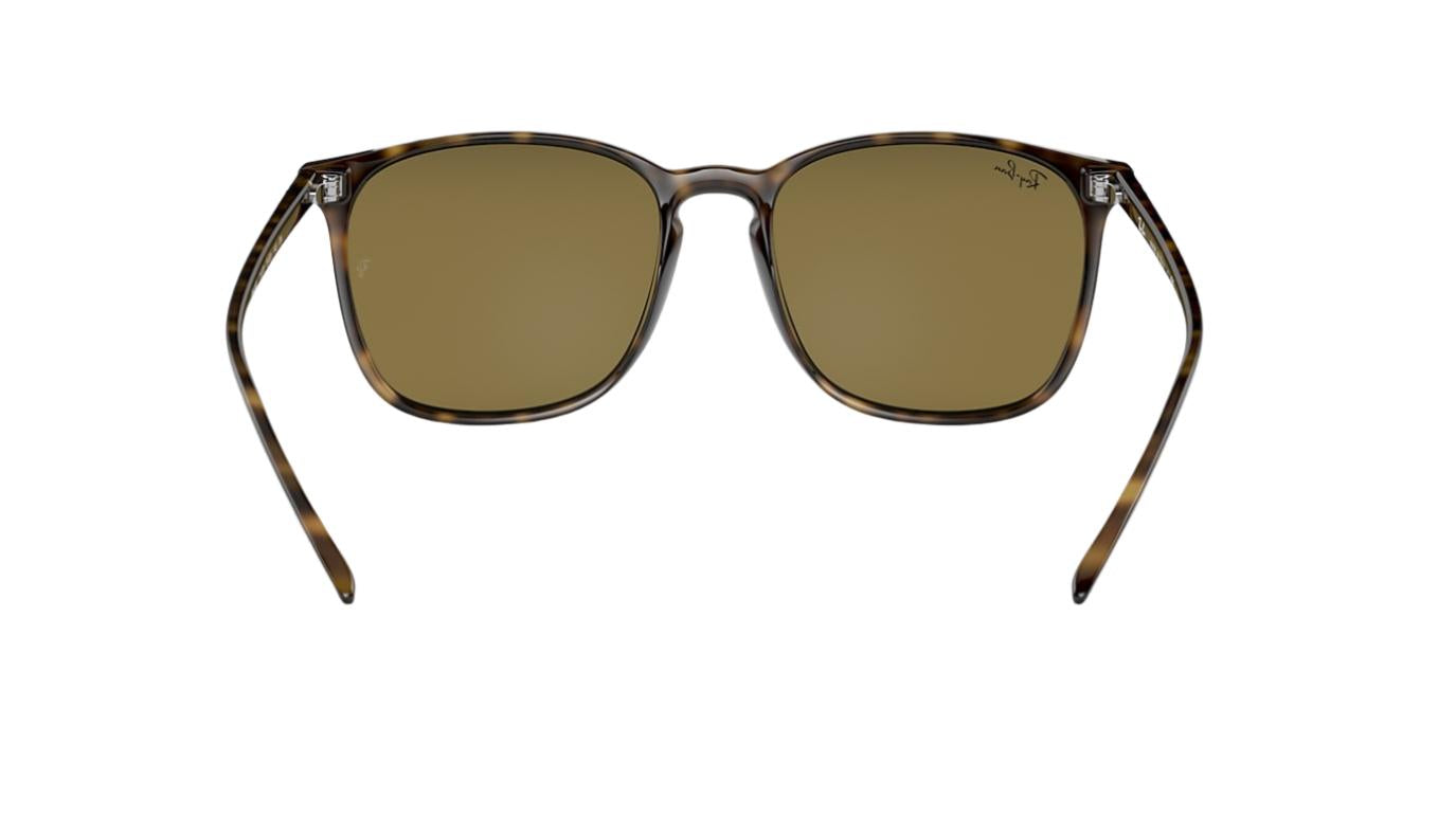 Ray-Ban RB4387-Sunglasses-Topline Eyewear