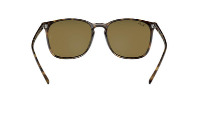 Ray-Ban RB4387-Sunglasses-Topline Eyewear