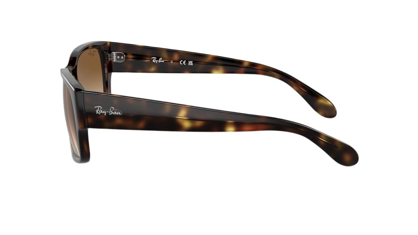 Ray-Ban RB4388-Sunglasses-