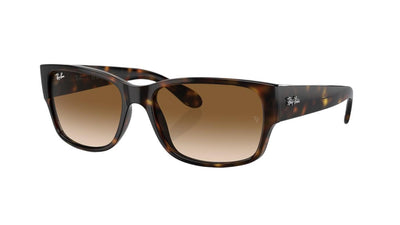 Ray-Ban RB4388-Sunglasses-Havana-Brown to Clear-55