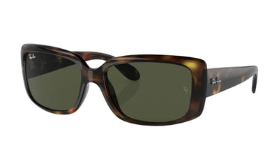 Ray-Ban RB4389-Sunglasses-Havana-Green-55
