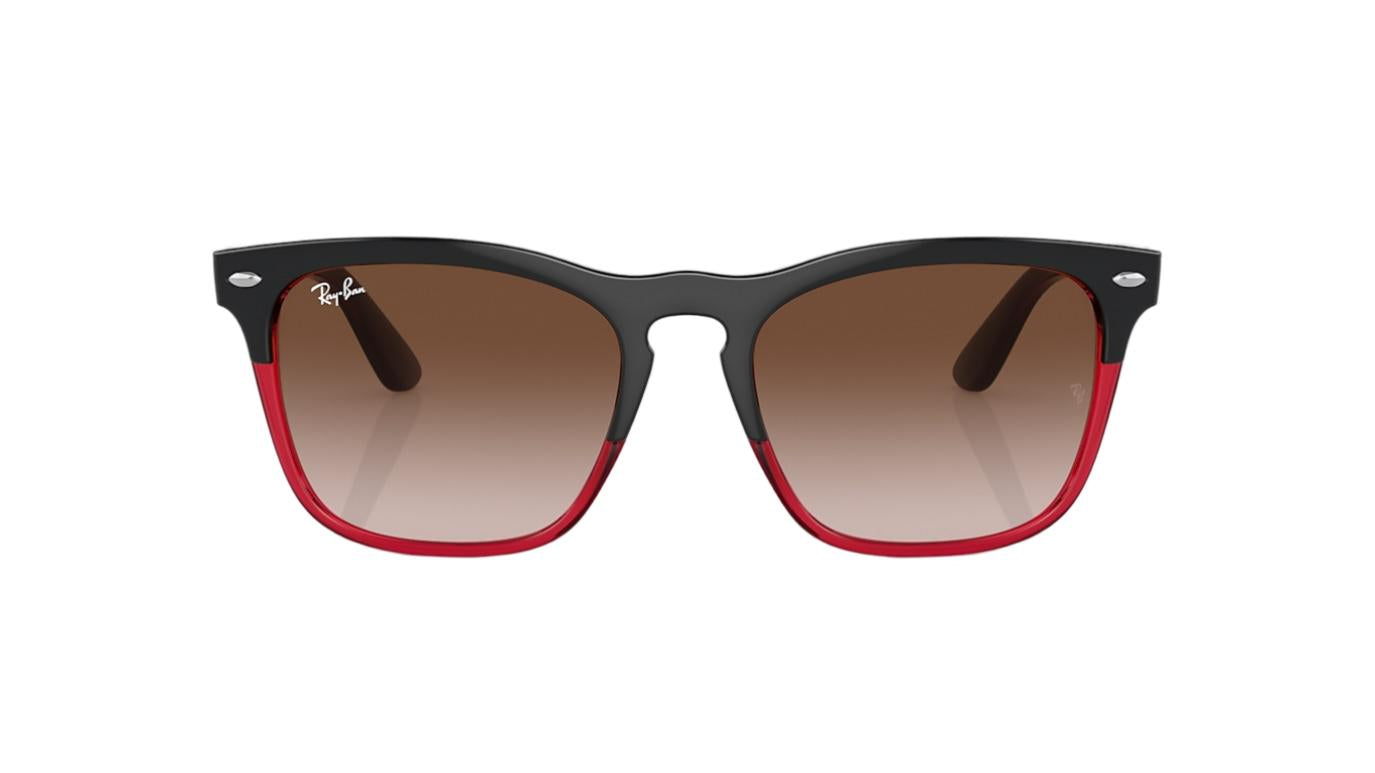 Ray-Ban Steve RB4487-Sunglasses-