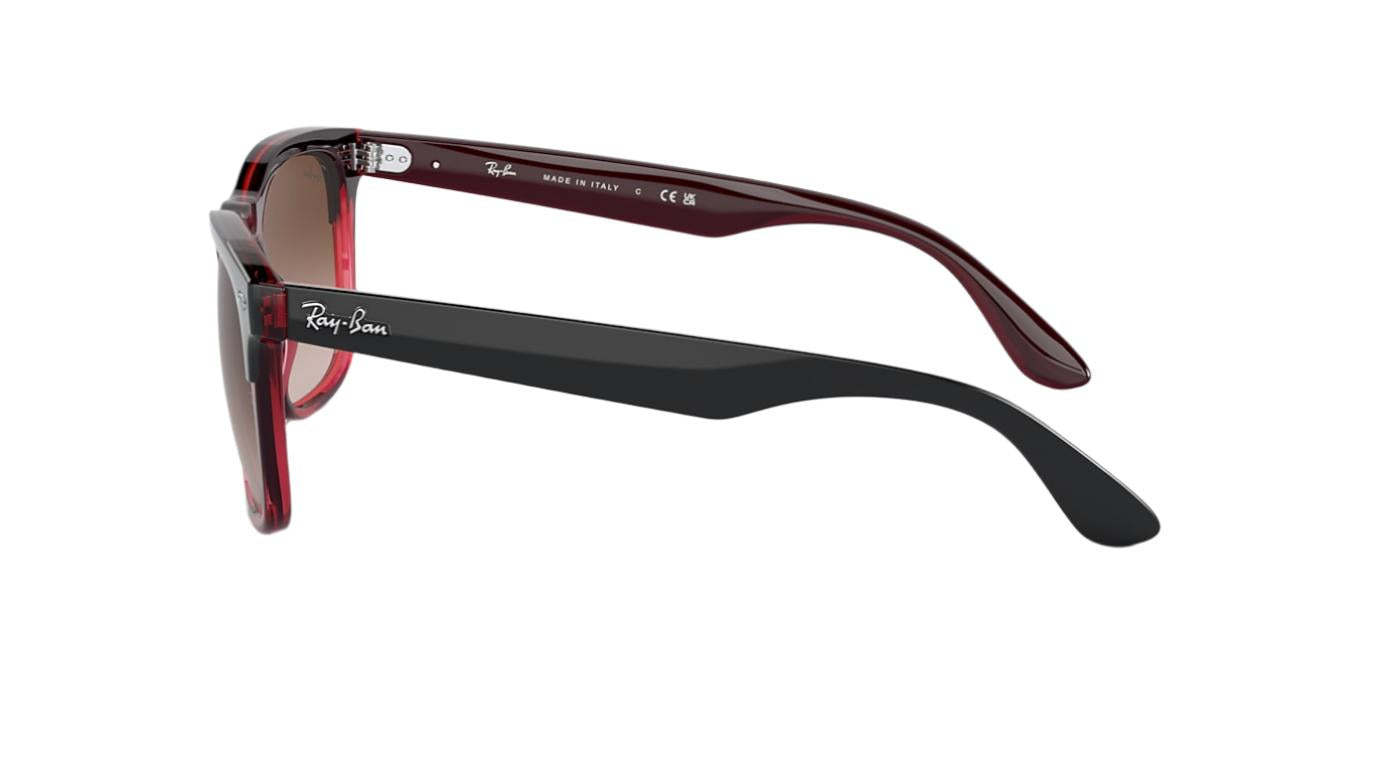 Ray-Ban Steve RB4487-Sunglasses-