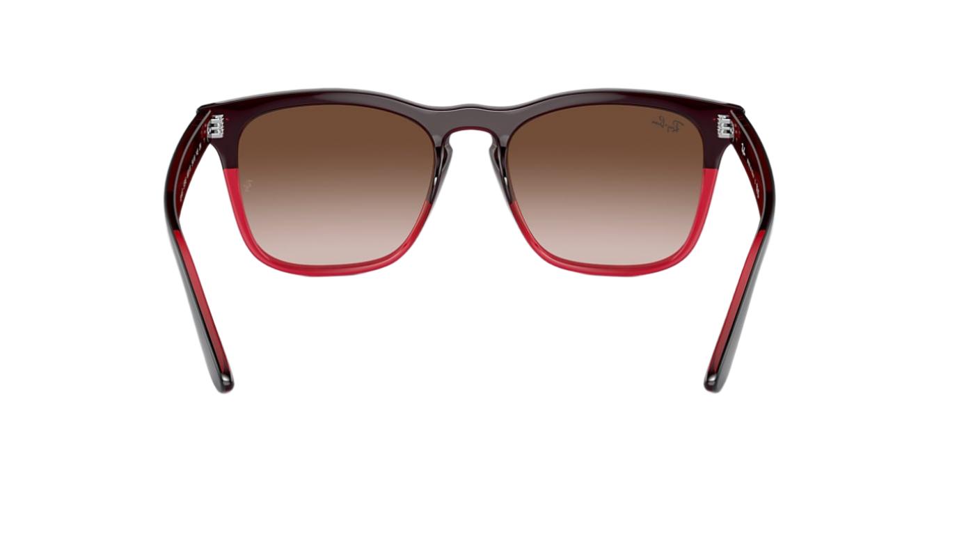 Ray-Ban Steve RB4487-Sunglasses-