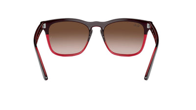 Ray-Ban Steve RB4487-Sunglasses-