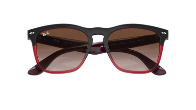 Ray-Ban Steve RB4487-Sunglasses-
