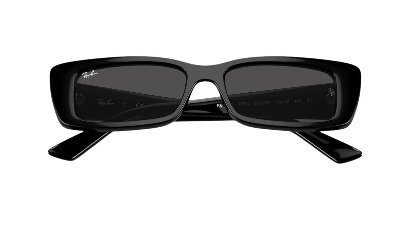 Ray-Ban Teru RB4425-Sunglasses-