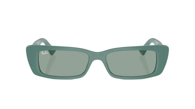 Ray-Ban Teru RB4425-Sunglasses-