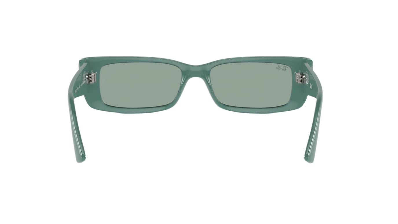 Ray-Ban Teru RB4425-Sunglasses-